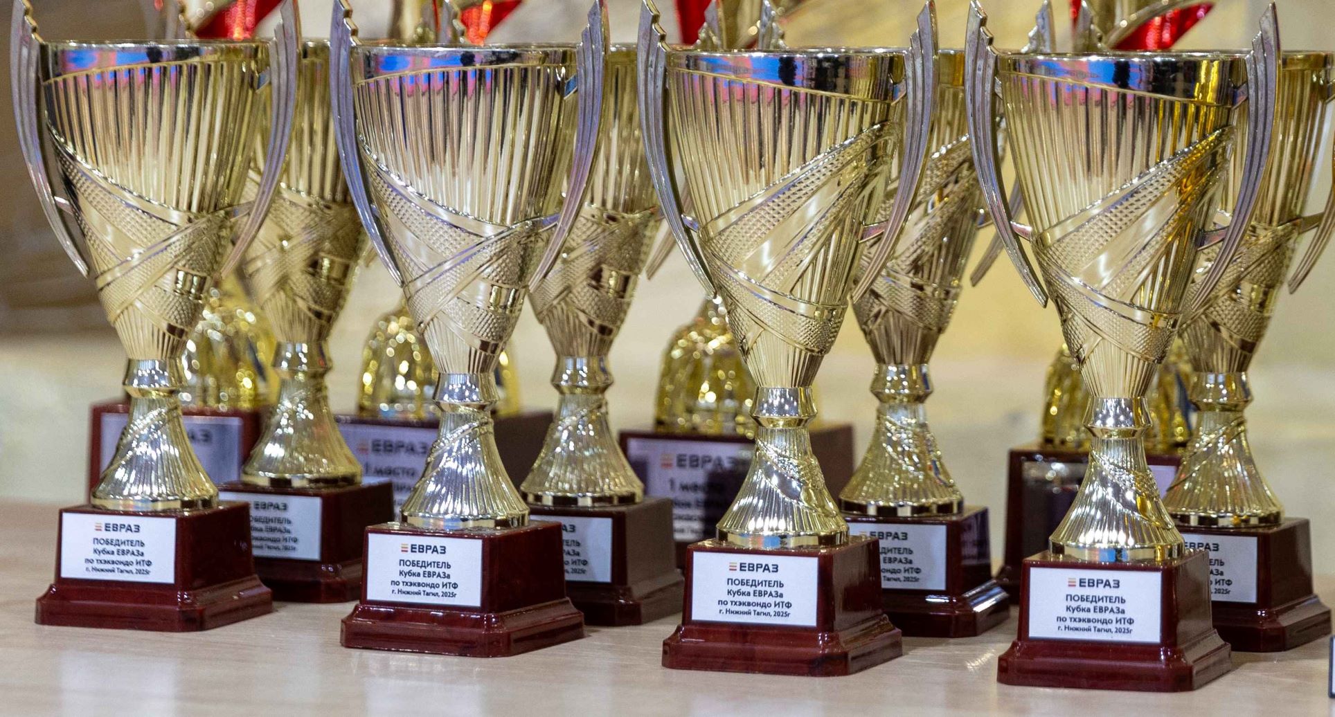 Фото - В Нижнем Тагиле завершился IX Кубок ЕВРАЗа по тхэквондо